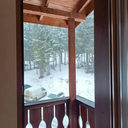 Dream в гранд ризорт