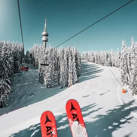 Апартамент Dream в гранд ризорт Пампорово