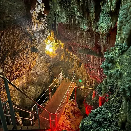 Апартаменты Dream в гранд ризорт Пампорово