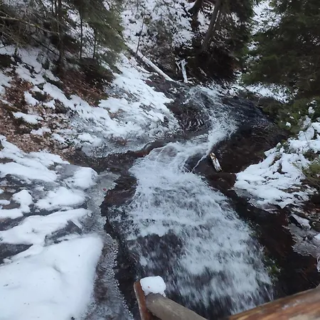 Dream в гранд ризорт Apartment *