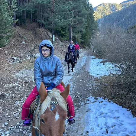 Dream в гранд ризорт * Пампорово