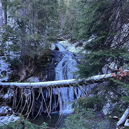 Dream в гранд ризорт Pamporowo