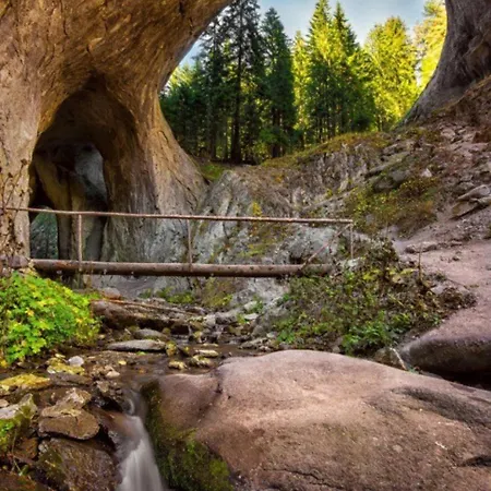 Dream в гранд ризорт *