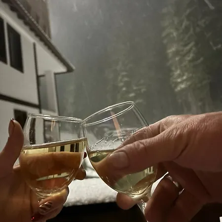 Dream в гранд ризорт * Pamporovo
