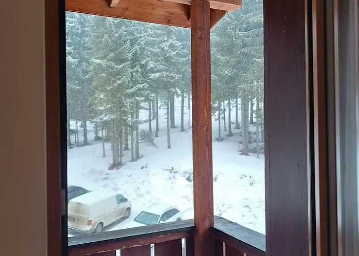 Dream в гранд ризорт