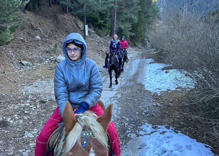 Dream в гранд ризорт * Pamporovo