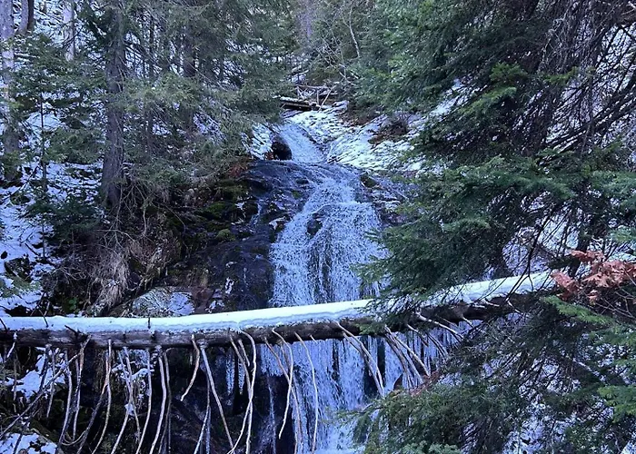 Dream в гранд ризорт Pamporovo