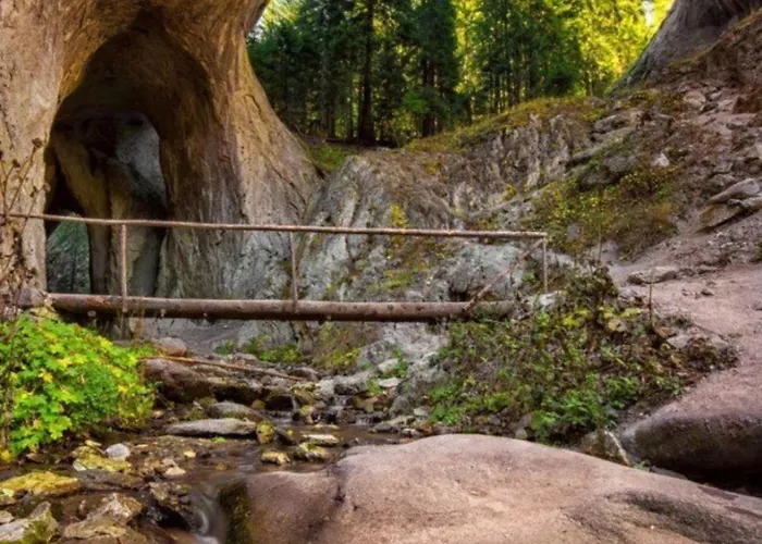 Dream в гранд ризорт *